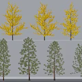 Different Species Of Trees With Yellow And Green Foliage And Varied Growth Forms