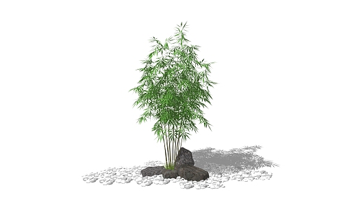 Modern bamboo stone potted landscape sketch courtyard plant landscape tree 3d model