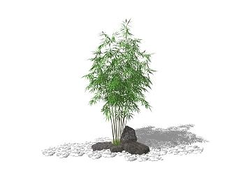 Modern bamboo stone potted landscape sketch courtyard plant landscape tree 3d model