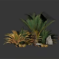 Green And Gold Palm Plants With Shells And White Pebbles Decorative Arrangement