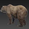 Realistic Brown Bear 3D Model With Detailed Fur Texture In Standing Pose On Gray Background