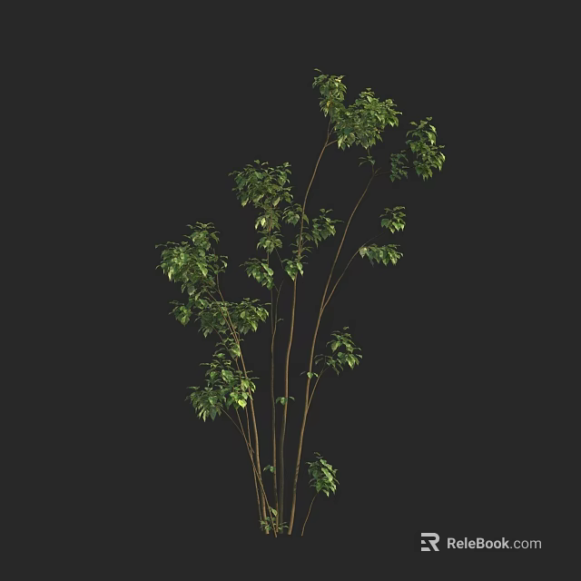 Lush Arbor With Green Leaves And Multiple Branches In Natural Form 3d model 