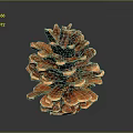 Natural Brown Pine Cone Decorative Ornament For Home Interior Decoration