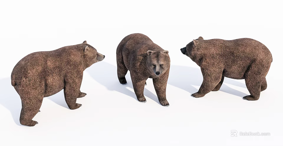 Three Reptile Models Displaying Front Left Right Angles With Clear Scale Textures And Natural Postures 3d model