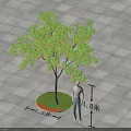 Arbor With 1.8m Height And 1.5m Diameter Circular Lawn On Gray Square Pavement Tiles