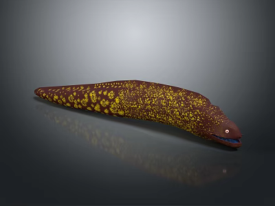 Dark Brown Moray Eel With Yellow Spots Aquatic Marine Animal in Underwater Setting 3d model