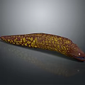 Dark Brown Moray Eel With Yellow Spots Aquatic Marine Animal in Underwater Setting