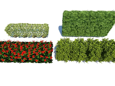 Different Garden Shrubs Including Flowering Red Blooms and Trimmed Green Hedges 3d model