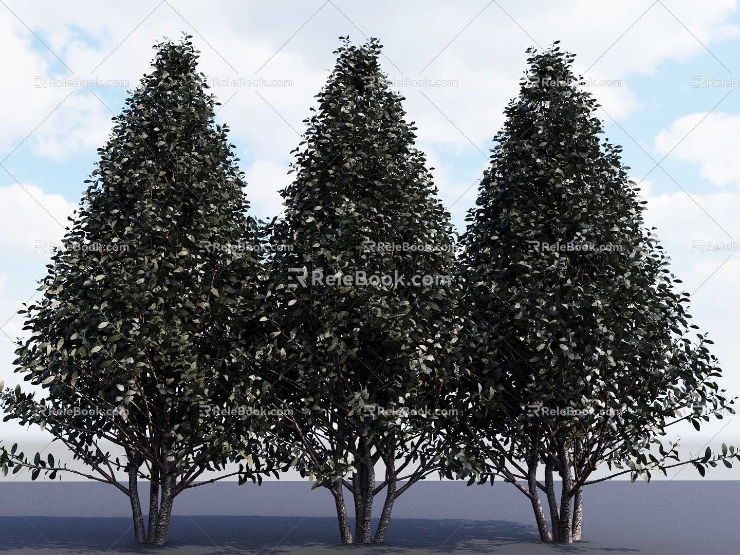 European boxwood landscape shrubs shrubs shrubs shrubs deciduous shrubs small trees dwarf trees 3d model