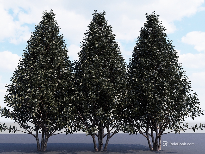 Tall Shrubs with Lush Green Leaves Against Blue Sky and White Clouds on Gray Ground 3d model 