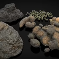 Diverse Collection of Animal Droppings with Varied Shapes Sizes and Textures