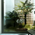 Indoor Garden Design With Ferns Palm Tree Orchids And Moss Ground Cover Against Lattice Wall