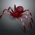 Realistic Red Spider 3D Character Design with Spiked Legs and White Tips 3d model