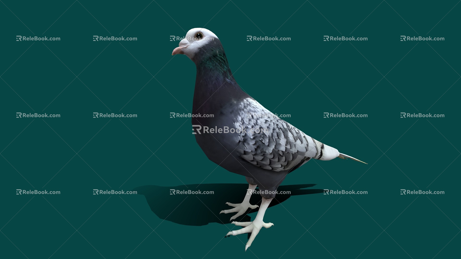 Modern Dove Cartoon Pigeon 3d model