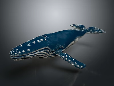 Realistic Blue Whale 3D Model With Dark Blue Body And White Spots On Gray Background 3d model
