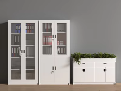 White Office Storage Cabinets With Glass Doors Files And Plant Top Cabinet On Wooden Floor 3d model