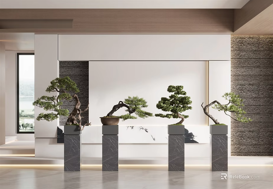 Four Bonsai Trees Placed On Gray Pedestals In Modern Indoor Space 3d model 