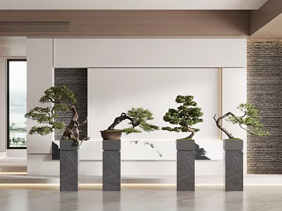 Four Bonsai Trees Placed On Gray Pedestals In Modern Indoor Space 3d model