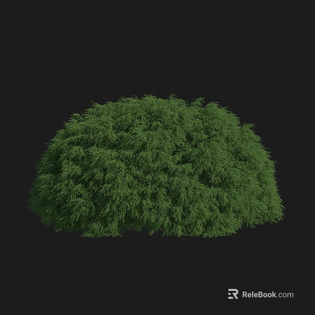 Vibrant Green Round Shrub With Lush Dense Foliage On Black Background 3d model 