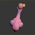 Playful Pink Poodle 3D Model With Curly Coat And Fluffy Tail