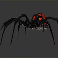Detailed View Of Black Spider With Red Spots On Abdomen And Long Legs