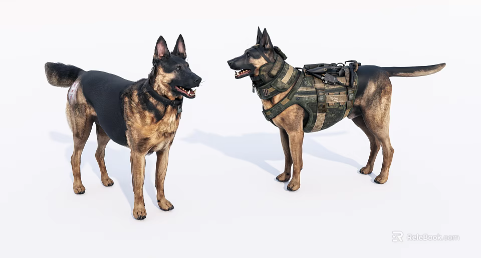 Two German Shepherd Dogs One With Tactical Vest Standing Together 3d model 