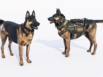 Modern Dog Wolfhound Military Dog 3d model