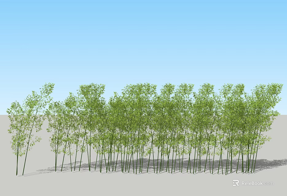 Tall Bamboo Grove With Lush Leaves Neatly Arranged Under Blue Sky On Sandy Ground 3d model 
