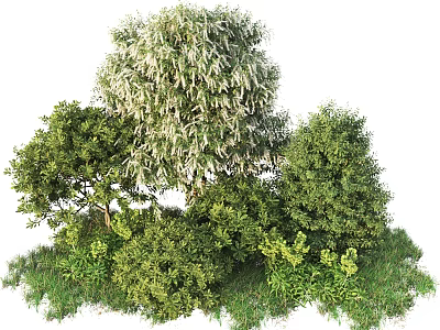 Various Green Shrubs with Lush Foliage in Garden Landscape Design 3d model