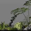 Lush Courtyard Garden With Bamboo Ferns Rock Stones And Natural Greenery