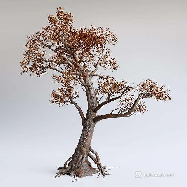 Deciduous Arbor With Thick Trunk Exposed Roots And Brown Leaves 3d model