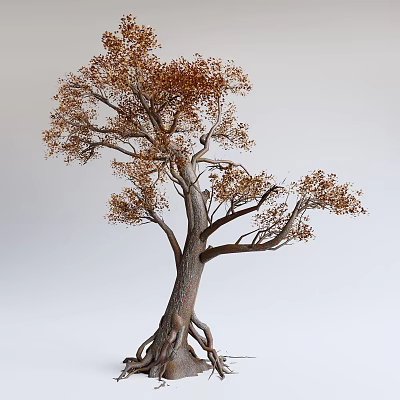 New Chinese Pine Landscape Tree 3d model