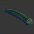 Fresh Green Okra Vegetable a Nutritious Ingredient for Healthy Cooking Dishes