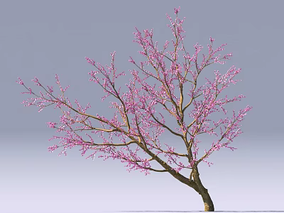 The image provided does not contain any food-related elements, so it is not possible to generate a food-focused English title based on the picture's key information. Please provide an image with food as the main subject to proceed. 3d model