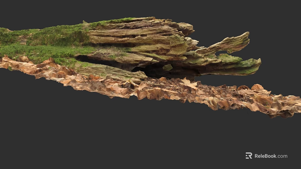 Detailed Botanical Painting of Tree Stump with Green Moss and Brown Dead Leaves 3d model 