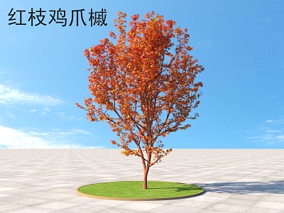 red branch maple claw shrub plants 3d model