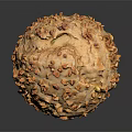 Homemade Nutty Bread Topped With Chopped Nuts Golden Brown Crust And Crunchy Texture