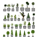 Various Bonsai And Potted Plants With Different Green Species On Shelves