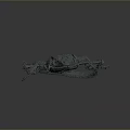 Detailed Anatomical Structure of Lizard Skeleton with Reptile Bone Features and Scientific Model
