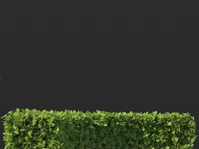Lush Green Well Trimmed Hedge Shrubs In Garden Landscape View 3d model
