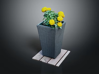 Yellow Flowering Plant with Green Leaves in Gray Square Woven Planter on Wooden Plank Base 3d model