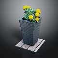 Yellow Flowering Plant with Green Leaves in Gray Square Woven Planter on Wooden Plank Base