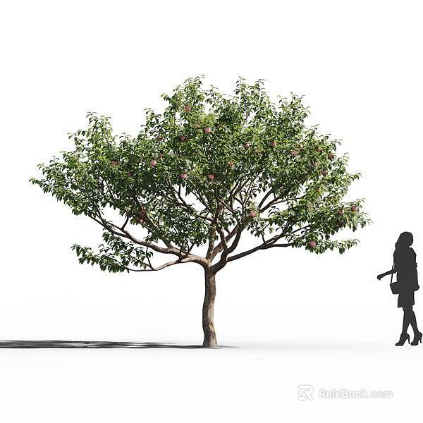 Tall Arbor With Lush Green Leaves Pink Blossoms And Woman Silhouette 3d model 