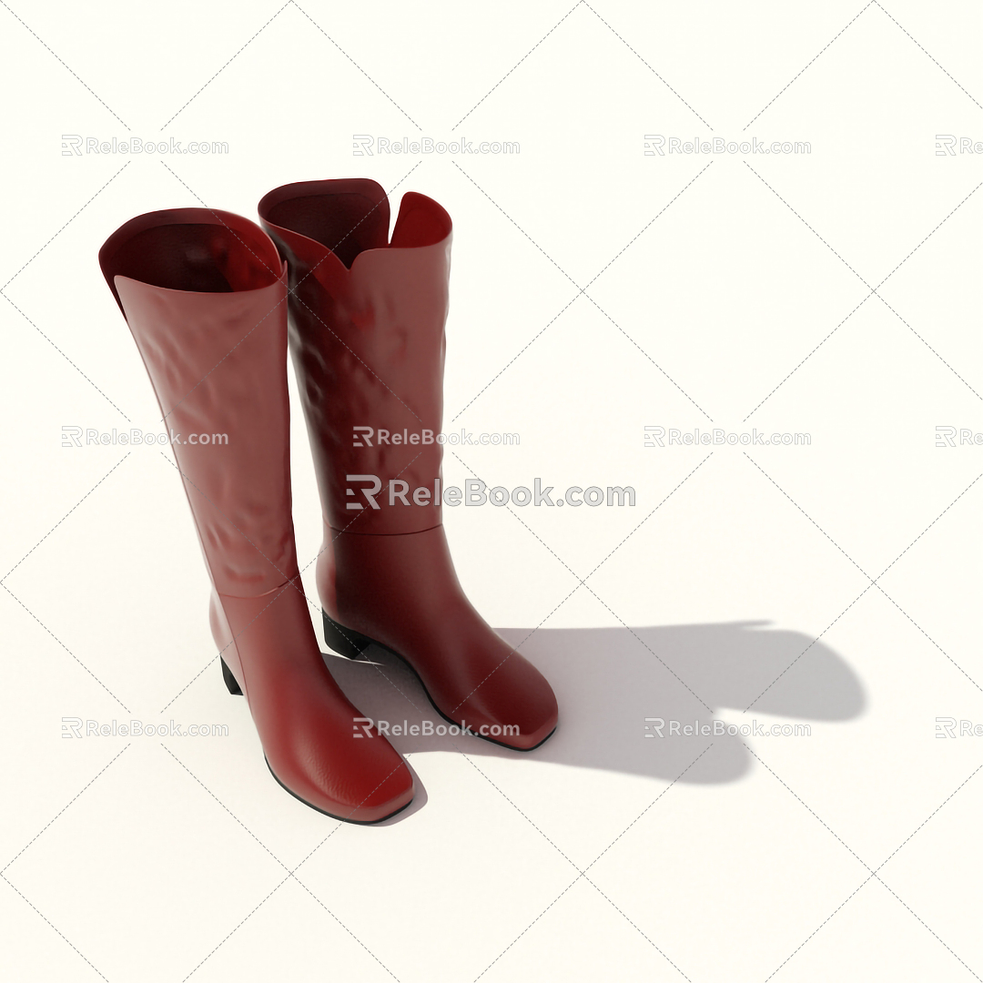 Modern Boots Women's Shoes Women's Boots High-top Boots 3d model