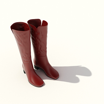 Modern Boots Women's Shoes Women's Boots High-top Boots 3d model