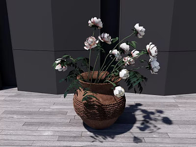 Bonsai Potted Plant With White Flowers In Terracotta Pot For Indoor Home Decor 3d model