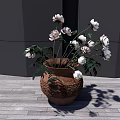 Bonsai Potted Plant With White Flowers In Terracotta Pot For Indoor Home Decor