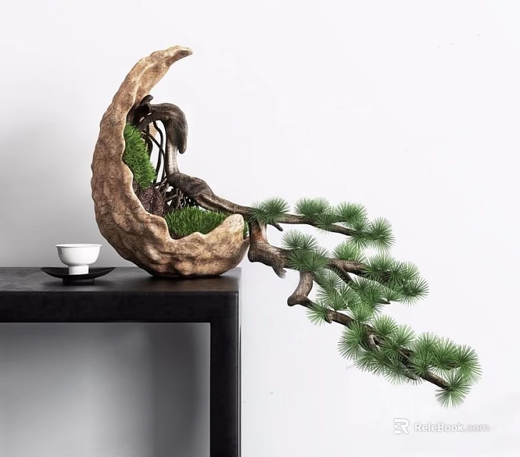 Bonsai Pine in Crescent Container with Green Moss Extended Branches on Black Table White Teacup 3d model