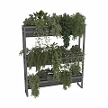Vertical Indoor Green Plant Wall Featuring Various Hanging And Climbing Plants