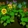 Vibrant Flower Plants With Colorful Blooms Including Yellow Purple Red And Green Leaves